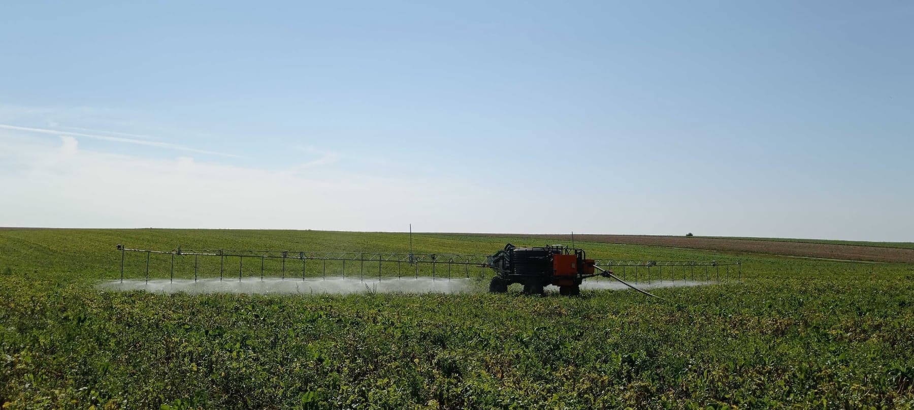 Cliquez pour voir la vidéo d'Oscar. Qui est oscar ?