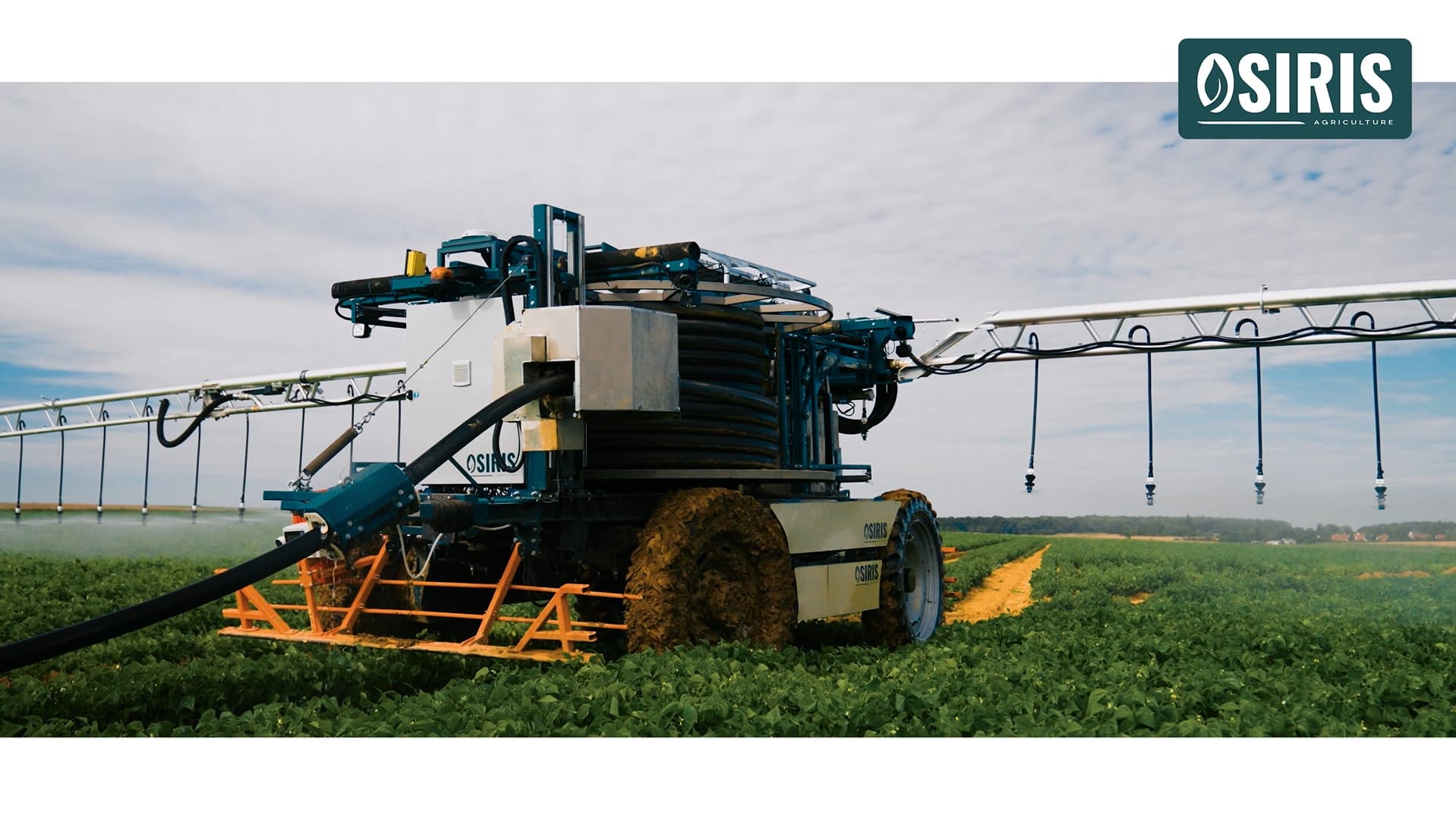 Cliquez pour voir la vidéo d'Oscar. Qui est oscar ?